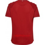 Danmark Fodboldtrøjer Hjemmebanesæt VM 2018